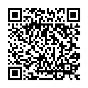 唯一的解释就是青木天牛使用秘术加持了魔鬼藤的攻击和防御二维码生成