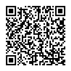 唯一算是线索的就是开走的那辆车挂的是宁海的车牌……可偌大的宁海市二维码生成