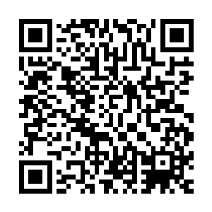 唯一让他显得与众不同的是他身上始终笼罩着一层淡淡的光辉二维码生成