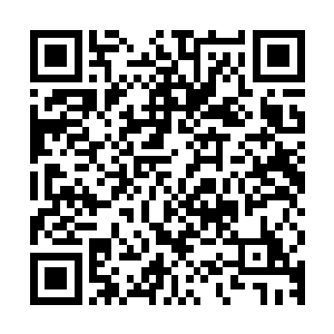 唯有实力才能决定你们在将来的战争中是继续生存下去还是死亡二维码生成