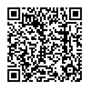 唯独检查整个外墙签到表的那个保安小头目单独每两小时才走一圈的时候二维码生成
