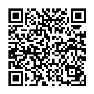 唯独正前方的拍卖台上被无数散发着柔和光芒的珠子所包裹二维码生成