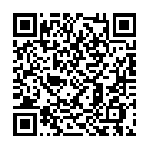 商文拿到手后满意的看了看就笑容满面的告辞离去二维码生成