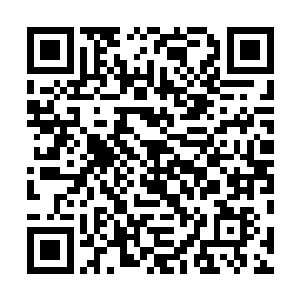 商蕊给沈雨柔设计的衣服是一套绣淡色迎春花梨花白长裙二维码生成
