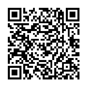 啊……我的内|衣啊……我的裤子……啊怎么找不到呀……二维码生成