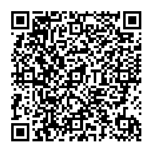 啪啪啪……接着地面又传來一声声脆响 无数的残肢碎肉跌落 无声无息的诉说着此地之前上演的一场杀戮二维码生成