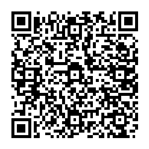 嗖嗖嗖嗖嗖……在我们的身后是一大片就如是长了眼睛一般的血滴子朝着我们的追来二维码生成