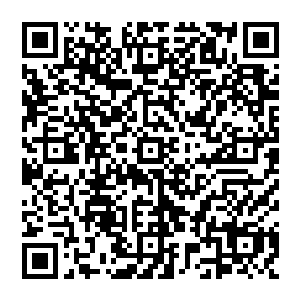 嗜血草也同样没有……秦方甚至连从近藤良田的内心深处去探知一下嗜血草的信息的机会都没有二维码生成