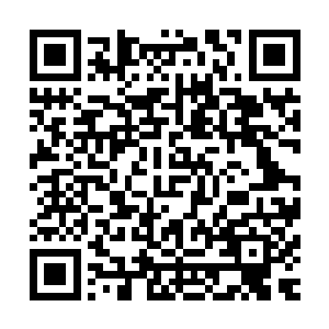 嗯……这个距离和体势……凭纯粹的体术躲开是很困难了……二维码生成