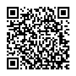嘴角的肌肉便忍不住抽搐了起来……也不知杨晨是出于什么目的二维码生成