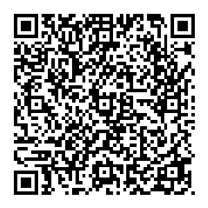 嘶吼着上千 但都是一头扎进了界珠当中 但就算如此 流淌在河中的若水依旧不曾有丝毫的减少 甚至看不到一点变化二维码生成
