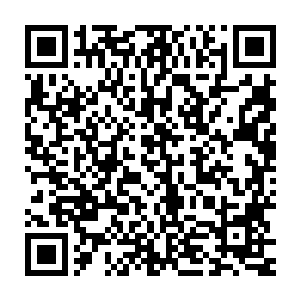 嘻嘻 小家伙害羞了么 对了 我來找你 是有事情要跟你说的哦 二维码生成