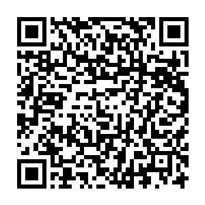 噗~~元气秘剑狠狠的撞击在龙化的皮质之上了……立即溅起了些许火花的二维码生成
