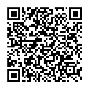 噬金蚁并没有产生什么变化――在控神术下它们又怎么会有变化呢二维码生成