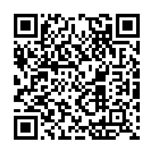 囊括着所有海床和海床上林林总总的海族巢穴等等二维码生成
