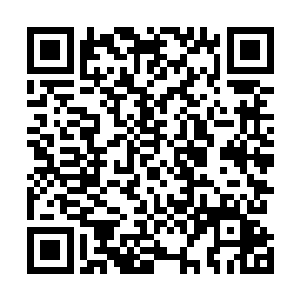 四个人形装备就这样在他们眼前缓缓变成了小型战机模样二维码生成