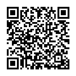 四位文职仙家正时不时用手中的拂尘拨弄那些漂浮的符文二维码生成