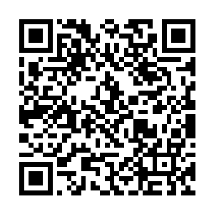 四团被血色淹没的光团已经没了最初的迷蒙模糊模样二维码生成