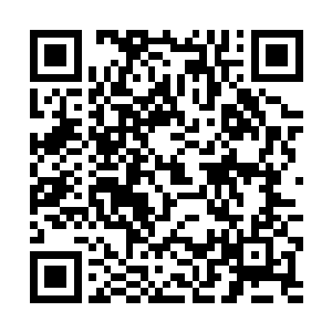 四大家族的力量可不仅仅只是表面上看到的那么简单二维码生成