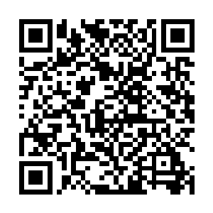 四大巨擘宗门的宗主和一些有眼里的宗主却是面面相觑二维码生成