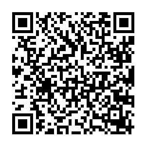 四大超级家族和天璇盟纷纷将各自占据的星球交给了手下回归家族修炼二维码生成