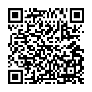 四大门派和九大家族的核心力量也在这个时候得到了基本的确认二维码生成