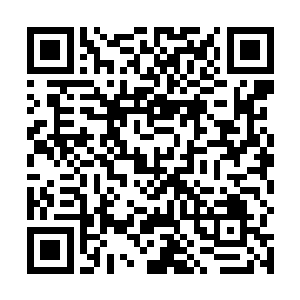 回到华夏医科大学的别墅式宿舍已经是凌晨一两点钟了二维码生成