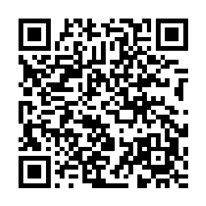 回到自己的狗窝一沾那张由几块木板拼在一起勉强算是平整的二维码生成