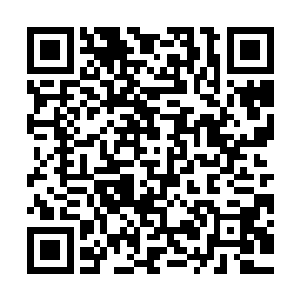 回去后的第一件事就是把家族派驻到赌斗场的代表给活活的杀死二维码生成