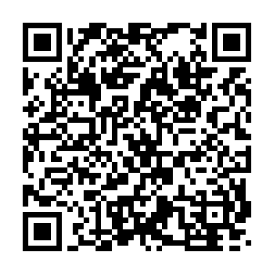 回头咱们就把这帮孙子收拾的他们的妈也认不出来……话还没说完二维码生成