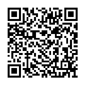 回家后在父母的撮合下与程雅柔算是确立的关系二维码生成