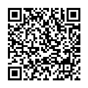 回忆着暮春时节他们住过的废墟和废墟上要开未开的波斯菊二维码生成