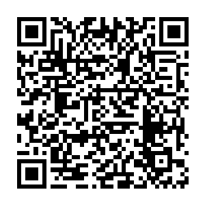 回想着灵猫儿教他的方法沉入识海中仔细寻找流墨墨说的本源符球二维码生成