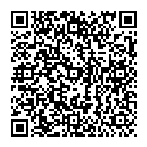 回想起前些天第一次看到南客大人取出黑木时自己的震惊――这样一块看不出任何神奇之处的黑木二维码生成