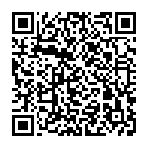 回来的吴莹莹在看到餐桌上的菜盘后顿时瞪大了眼睛一副不可思议的模样二维码生成