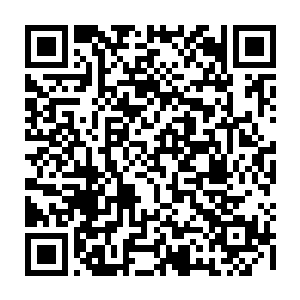 因为……当一个人已经习惯于通过赌博的形式去获得或失去巨大的财产后二维码生成