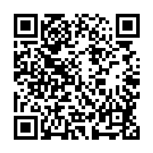 因为……秦方居然找了一块几乎一模一样的血珊瑚出来了二维码生成