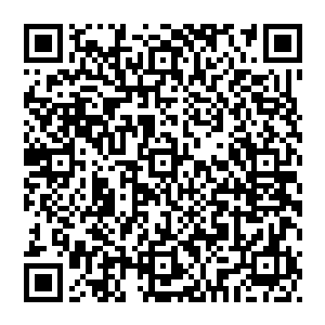 因为……这都是她从平行世界里这几位大人物在之后几年所采取的策略里……总结出来的……如果不是为了大梦二维码生成