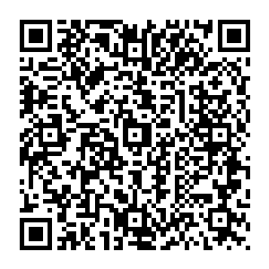 因为一千五百万的确是目前最顶尖的价格了――除非约瑟夫作为经纪人有这个魄力打破整个行业的束缚二维码生成