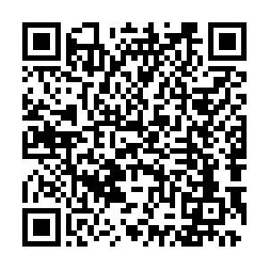 因为一般的法器在修士不朝里面注入灵气之前是不会看到灵气波动的二维码生成