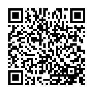因为下一秒钟便有更加密集的子弹和炮弹将他们彻底摧毁二维码生成