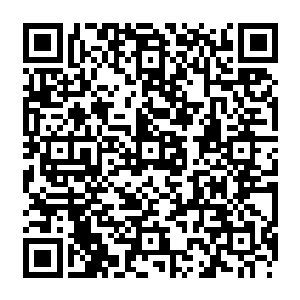 因为不知道姒总管脑袋里模拟傀儡蠕虫的金魂符毒是否会与控制它的人有特殊感应二维码生成