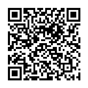 因为不管是黑暗议会的那三位巨头还是教廷的四位圣贤二维码生成