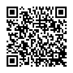 因为东黎墨开始不动生息的给自己这个便宜父皇施加精神压力了二维码生成