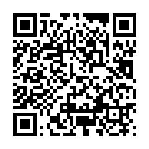 因为两天的时间足够罗刹门的高手从极乐界那边赶到这里二维码生成