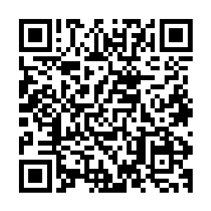 因为之前很多人用跟美国公民或绿卡持有者结婚的办法拿绿卡二维码生成