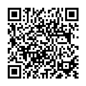 因为之前那无数的工程臂已经被黑洞洞的炮口所取代……二维码生成