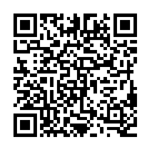 因为今天夏天所展现出来的实力已经牢牢的刻在他们的心里了二维码生成