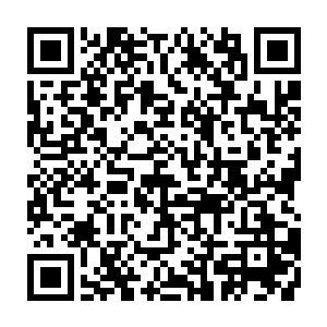 因为从玄学界人的口中他们也知道那位秦国师也不过才是刚刚踏入地仙境界二维码生成