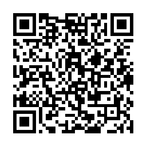 因为从现在开始我们已经不再是是新晨公司的股东了二维码生成